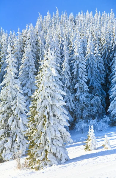 Mistige winter berglandschap — Stockfoto