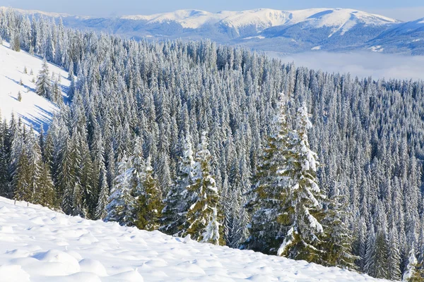 Paisaje de montaña de invierno — Foto de Stock