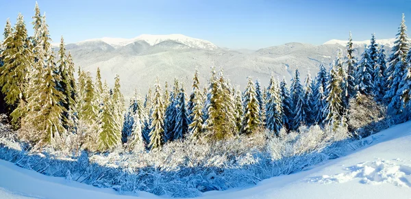 Зимовий гірський пейзаж ( Панорама ) — стокове фото