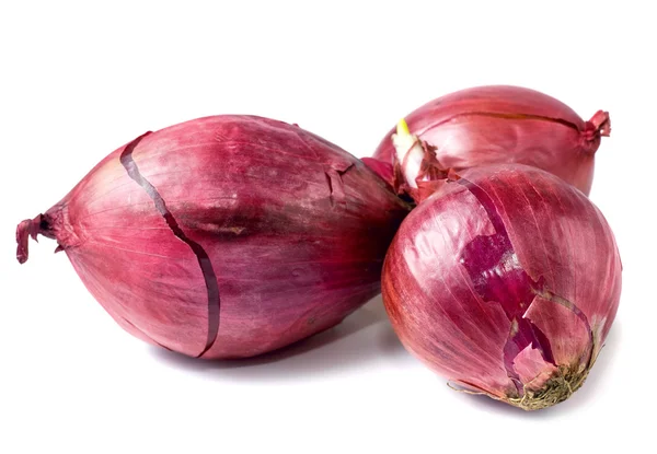 Violet onion bulb group — Stock Photo, Image