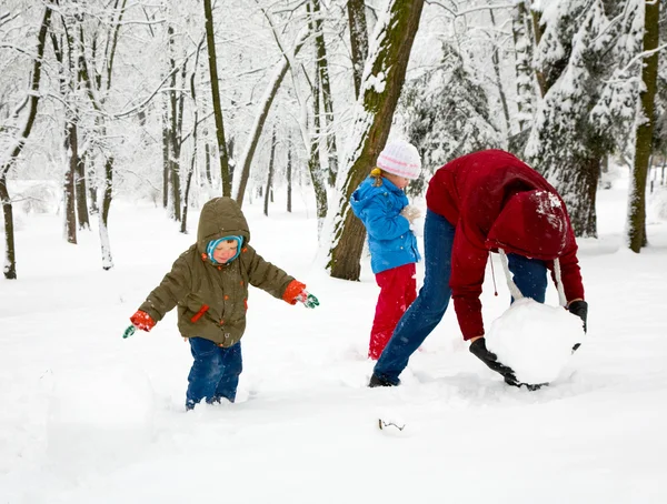 겨울 공원에서 가족 — 스톡 사진