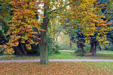 Sonbahar Parkı