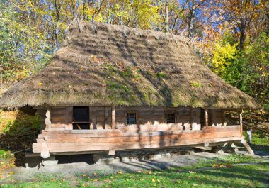 thatched çatı ile eski ahşap ev