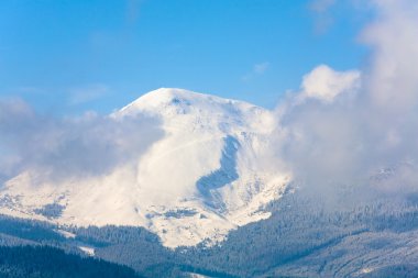Morning cloudy winter mountain landscape. Goverla mount view, Carpathian, Ukraine. clipart