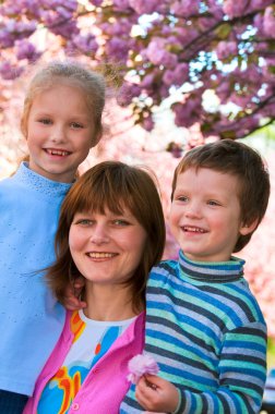 Happy family portrait (mother and children) in spring city street with pink japanese cherry trees blossom (Uzhgorod City, Ukraine) clipart