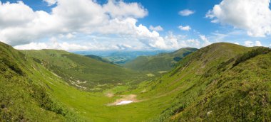 Summer mountain meadow panorama view with juniper forest and snow remains on ridge in distance. Five shots stitch image. clipart