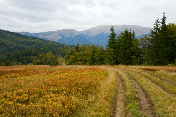 Podzimní horské silnici zobrazení — Stock fotografie