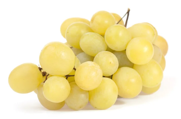 Raisins blancs — Photo
