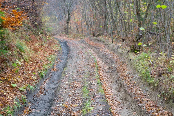 Sonbahar dağ kirli yolu — Stok fotoğraf