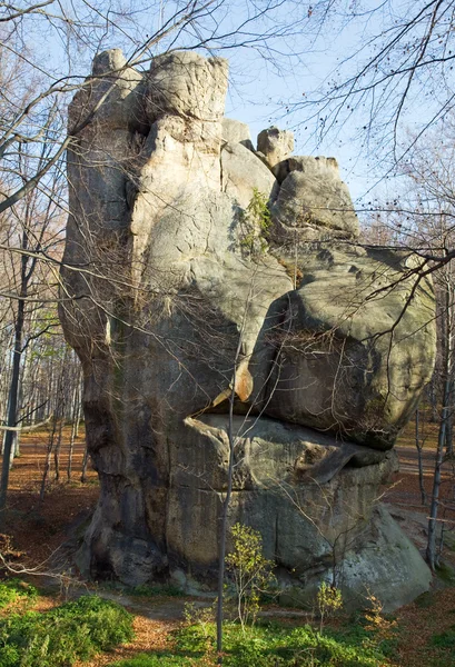 Lofty piedra en el bosque — Foto de Stock