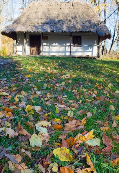 Cabaña de madera de campo y césped de jardín de otoño cerca —  Fotos de Stock