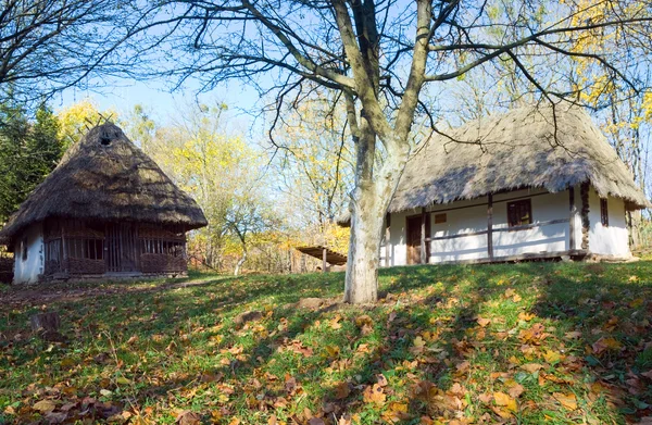 Drewniane chaty w kraju i jesień ogród trawy w pobliżu — Zdjęcie stockowe