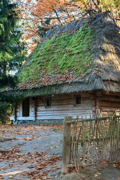 Oud houten huis met rieten dak — Stockfoto