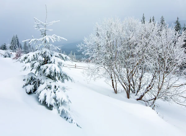 Inverno paisagem de montanha país — Fotografia de Stock