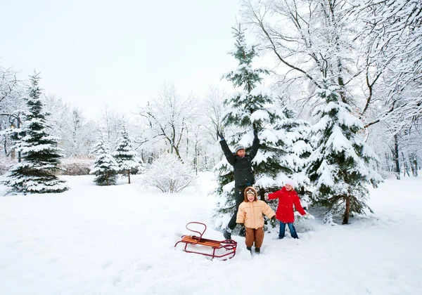 Família no parque de inverno — Fotografia de Stock