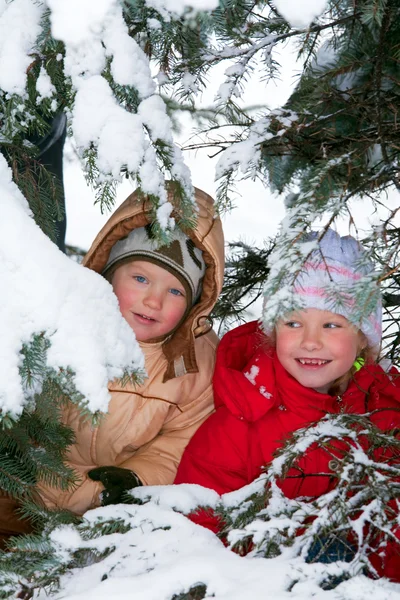 Glücklicher Kleiner Junge Und Mädchen Winterlichen Stadtpark — Stockfoto