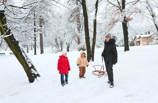冬の公園で幸せな家族 小さな男の子と女の子の母 — ストック写真