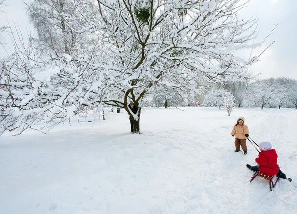 Rodziny w winter park — Zdjęcie stockowe