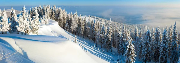 Сноуборд зимний панорамный пейзаж — стоковое фото