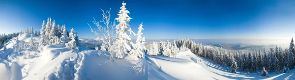 Зимний Спокойный Горный Пейзаж Карпаты Украина Восемь Снимков Стежка Изображения — стоковое фото