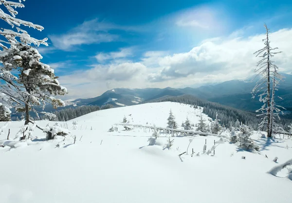 Winterreif Und Schneebedeckte Tannen Berghang Karpaten Ukraine — Stockfoto