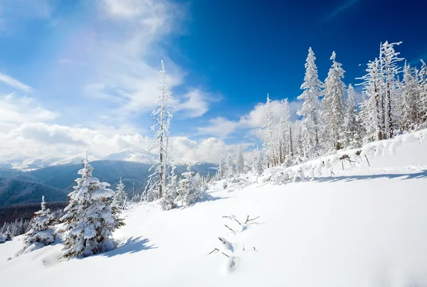 雪景色 — ストック写真