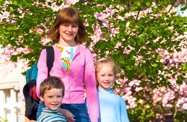 幸福的家庭 母亲和儿童 在春城街头用粉红色日本的樱花树盛开 Uzhgorod 乌克兰 — 图库照片