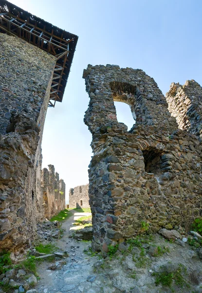 Summer View Nevytsky Castle Ruins Kamyanitsa Village North Uzhhorod Zakarpattia — Stock Photo, Image