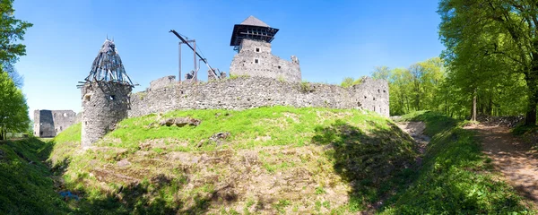 Vista Verão Das Ruínas Castelo Nevytsky Aldeia Kamyanitsa Norte Uzhhorod — Fotografia de Stock