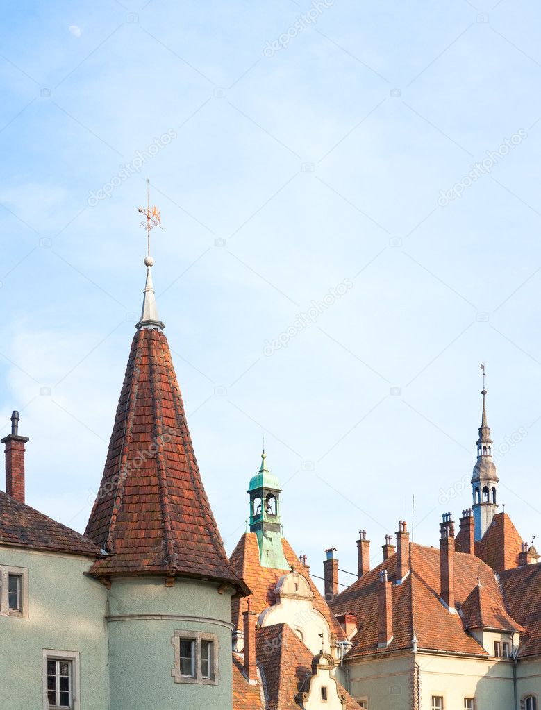 Roof of Hunting Lodge (palace) of Shenborn