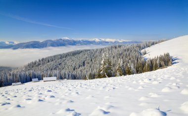 Winter calm mountain landscape (view from Bukovel ski resort (Ukraine) to Svydovets ridge) clipart