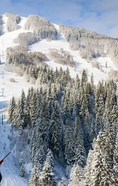 Зимняя лыжная канатная дорога — стоковое фото