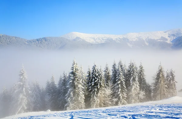 Inverno nebuloso paisagem de montanha — Fotografia de Stock