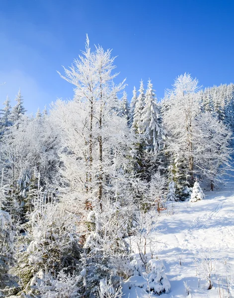 Inverno Montanha Paisagem — Fotografia de Stock