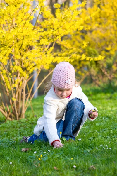 Happy Small Girl Gather Gowan Flowers Blossoming Yellow Forsythia Bush — Stock Fotó