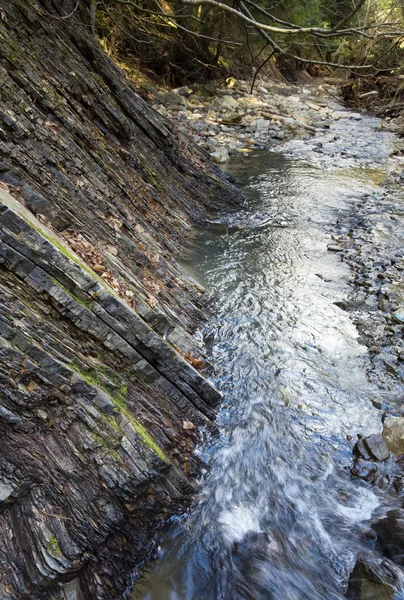 Kleiner Bach in Bergwaldschlucht — Stockfoto