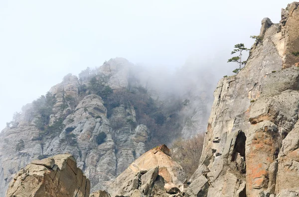 Rocky Dağı — Stok fotoğraf