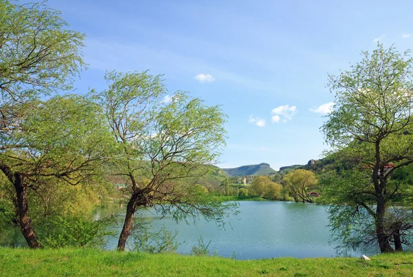 Beautiful spring lake — Stock Photo, Image