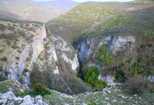 Primavera Gran Cañón Crimea Vista Montaña Con Pinos Pendiente Crimea —  Fotos de Stock