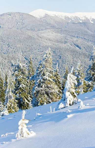 Winter mountain landscape Stock Photo