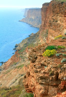 phiolent cape (Kırım, Ukrayna kıyı rock görünümünden)