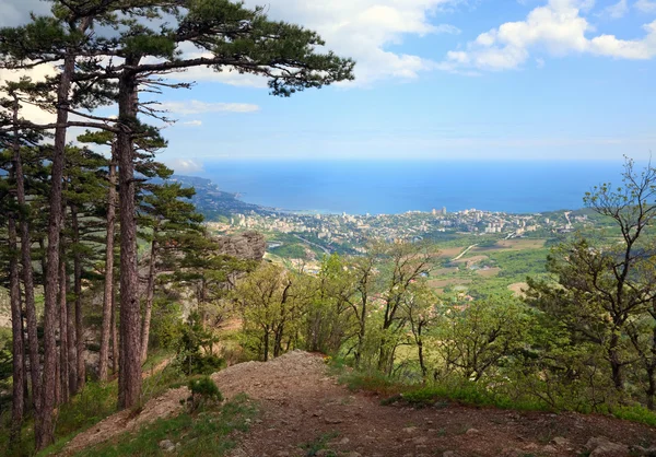 アジュペトリ山の斜面からのヤルタ市の眺め トレイル植物 クリミア ウクライナ — ストック写真