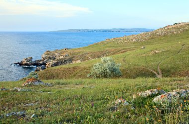 Toprak yolda prairies yaz deniz kıyısına yakın