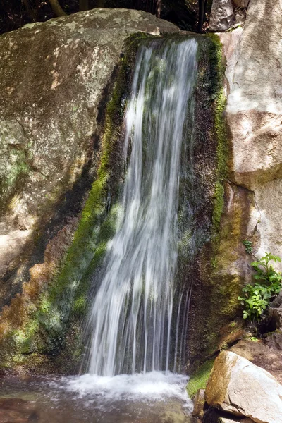 Маленький Пружинный Водопад Скала Позади — стоковое фото