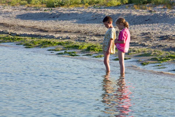 Barn på kusten — Stockfoto