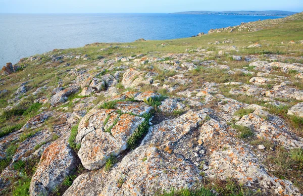 岩の多い海岸線 — ストック写真