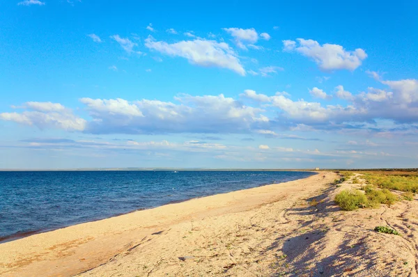 夏の海の砂浜の海岸線 アゾフ海 クリミア ウクライナ — ストック写真