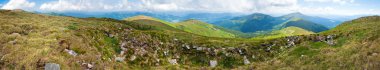 Yaz dağ panorama (chornogora ridge, Karpat, Ukrayna) altı çekim görüntü dikiş.