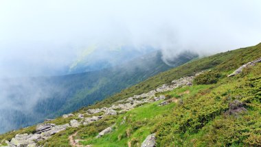 Ardıç bush ve yaz dağın (Ukrayna, Karpat Dağları üzerinde büyük taşlar)