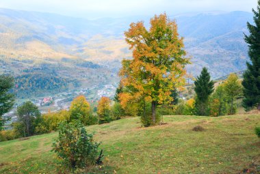 sonbahar ağaçlarda Karpat dağ tarafı (ve river Valley village).